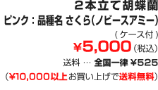 2本立て胡蝶蘭 ピンク: 品種名 さくら (ノビースアミー) ¥5,000 (税込)