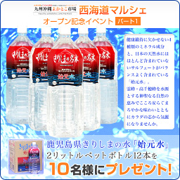 #05: きりしまの水 始元水 2Lペットボトル 12本セット