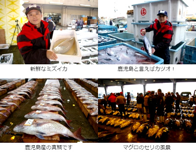 鹿児島魚類市場